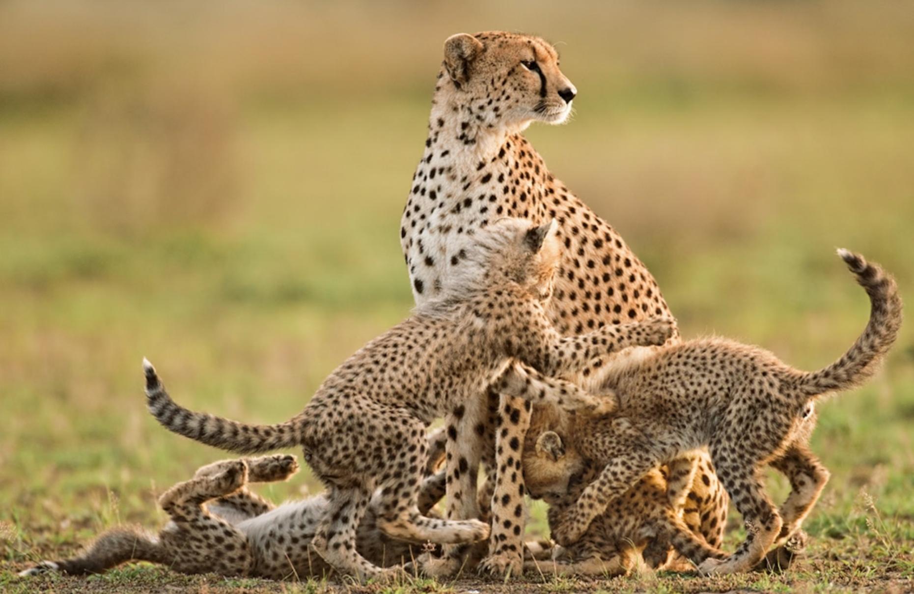 East Africa, Your Way