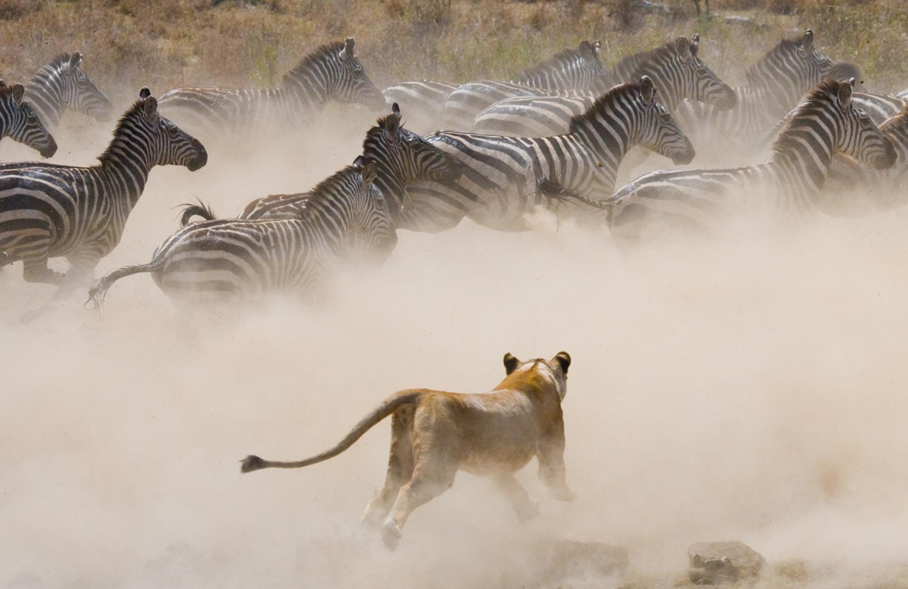 In the Footsteps of the Great Migration